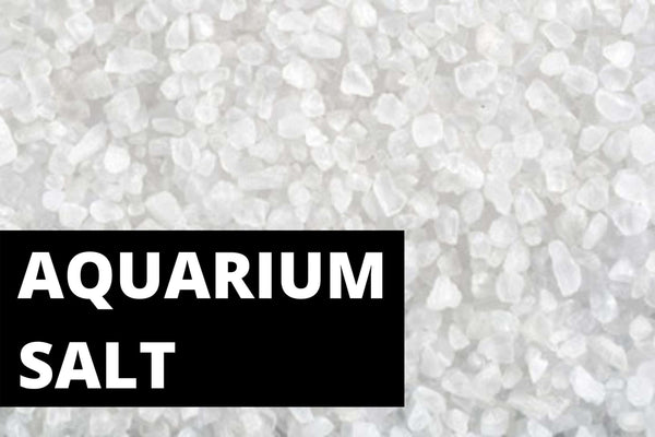 Aquarium Salt - for Dream Aquarium Kit